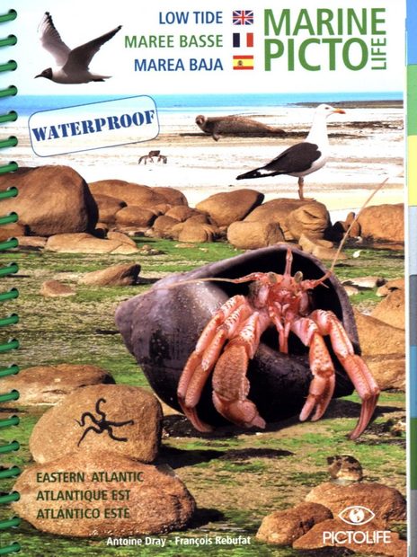 Low-Tide Pictolife Eastern Atlantic [English / French / Spanish]
