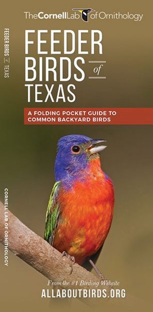 Feeder Birds of Texas