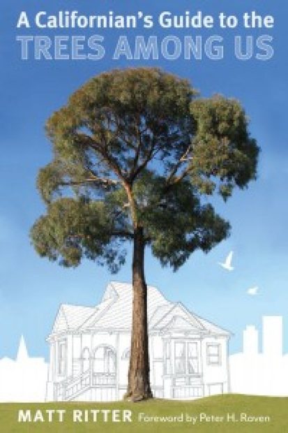 A Californian's Guide to the Trees Among Us