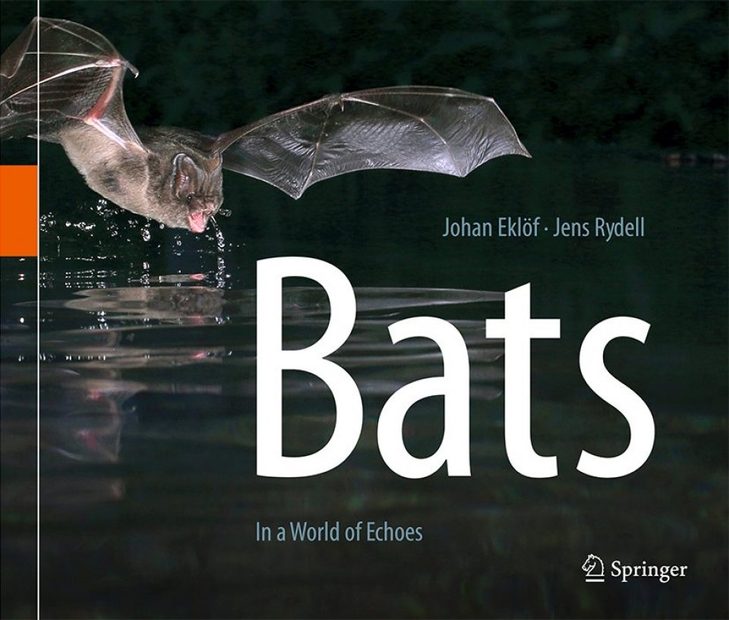 Bats