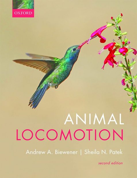Animal Locomotion