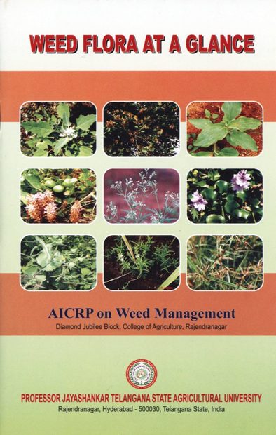 Weed Flora at a Glance