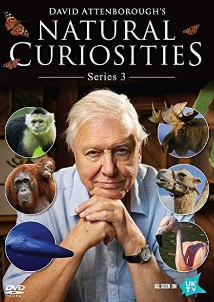 David Attenborough's Natural Curiosities Series 3 (Region 2)
