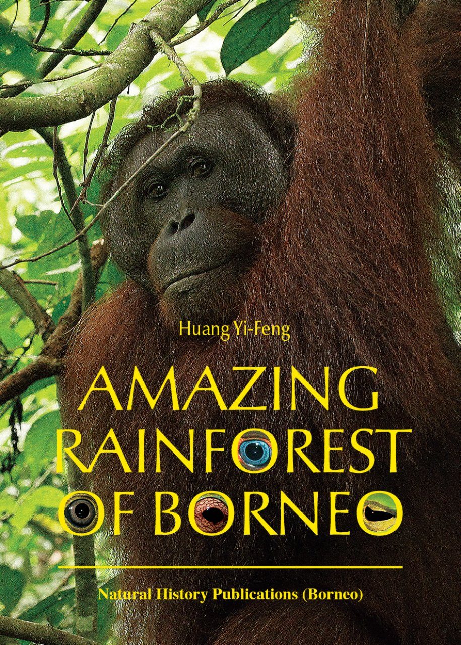 Professional　Borneo　Amazing　Rainforest　Academic　of　NHBS　Books