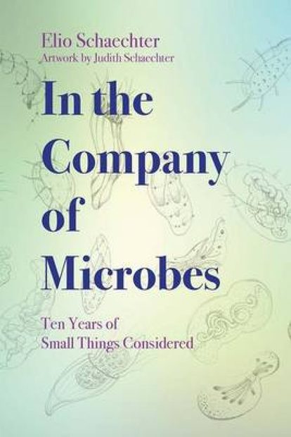 In the Company of Microbes
