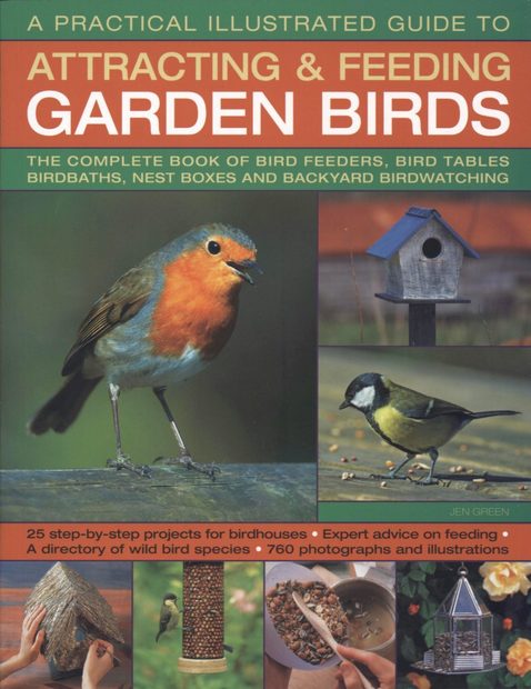 A Practical Illustrated Guide to Attracting & Feeding Garden Birds