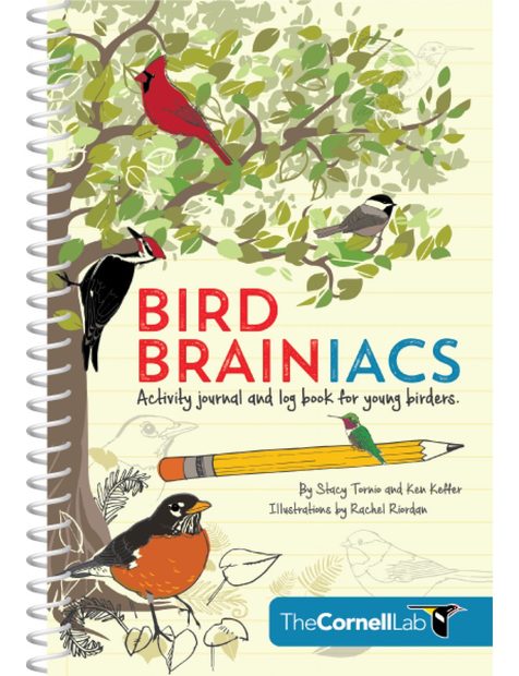 Bird Brainiacs