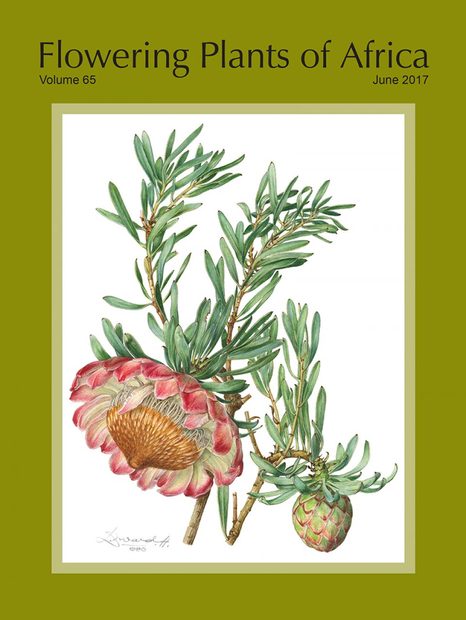 Flowering Plants of Africa, Volume 65: Plates 2321–2340