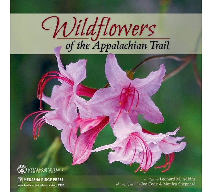 Wildflowers of the Appalachian Trail
