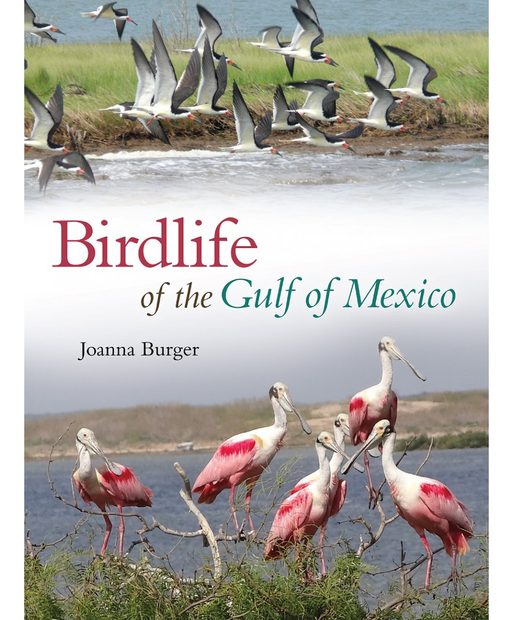 Birdlife of the Gulf of Mexico