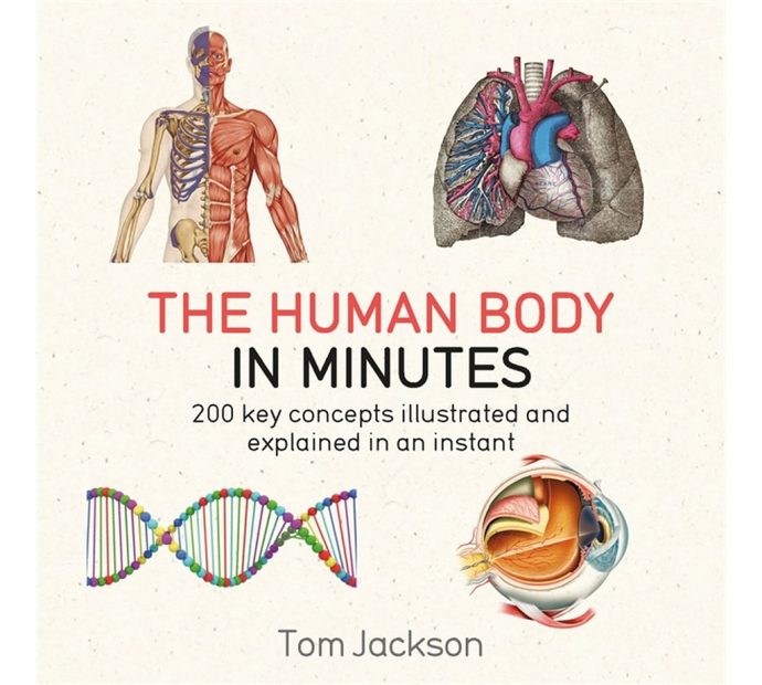 The Human Body in Minutes