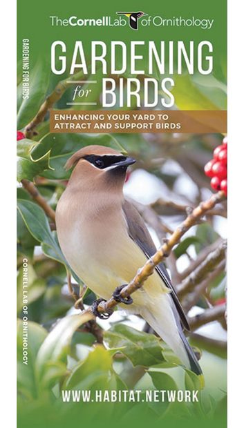 Gardening for Birds