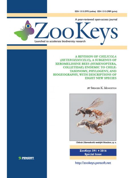 ZooKeys 591: A Revision of Chilicola (Heteroediscelis), a Subgenus of Xeromelissine Bees (Hymenoptera, Colletidae) Endemic to Chile