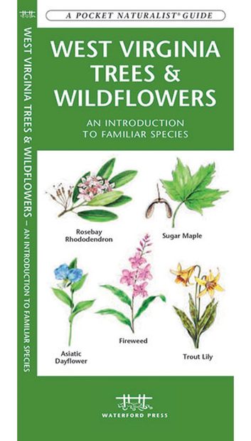 West Virginia Trees & Wildflowers