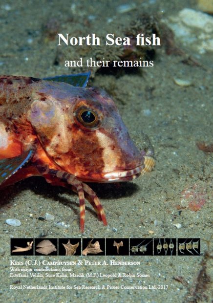 North Sea Fish and Their Remains