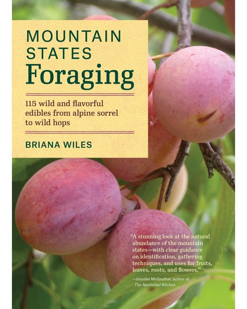 Mountain States Foraging