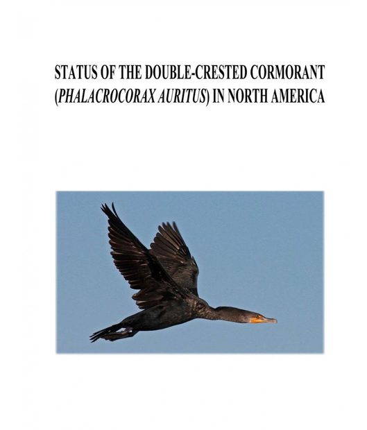 Status of the Double-Crested Cormorant (Phalacrocorax auritus) in North America