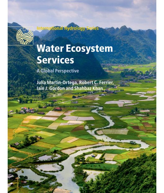 Water Ecosystem Services