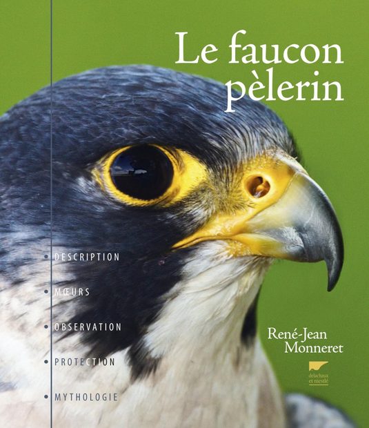 Le Faucon Pèlerin: Description, Mœurs, Observation, Protection, Mythologie [The Peregrine Falcon: Description, Habits, Observation, Protection, Mythology]
