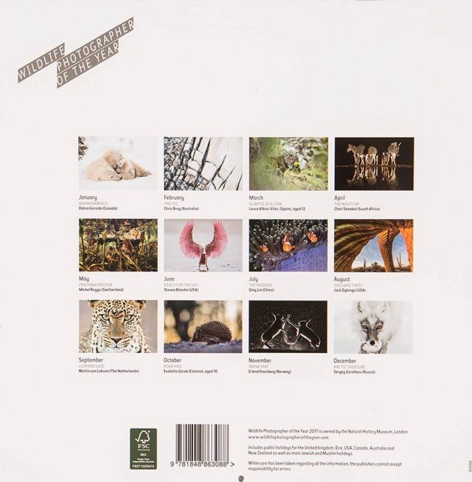 calendars photography