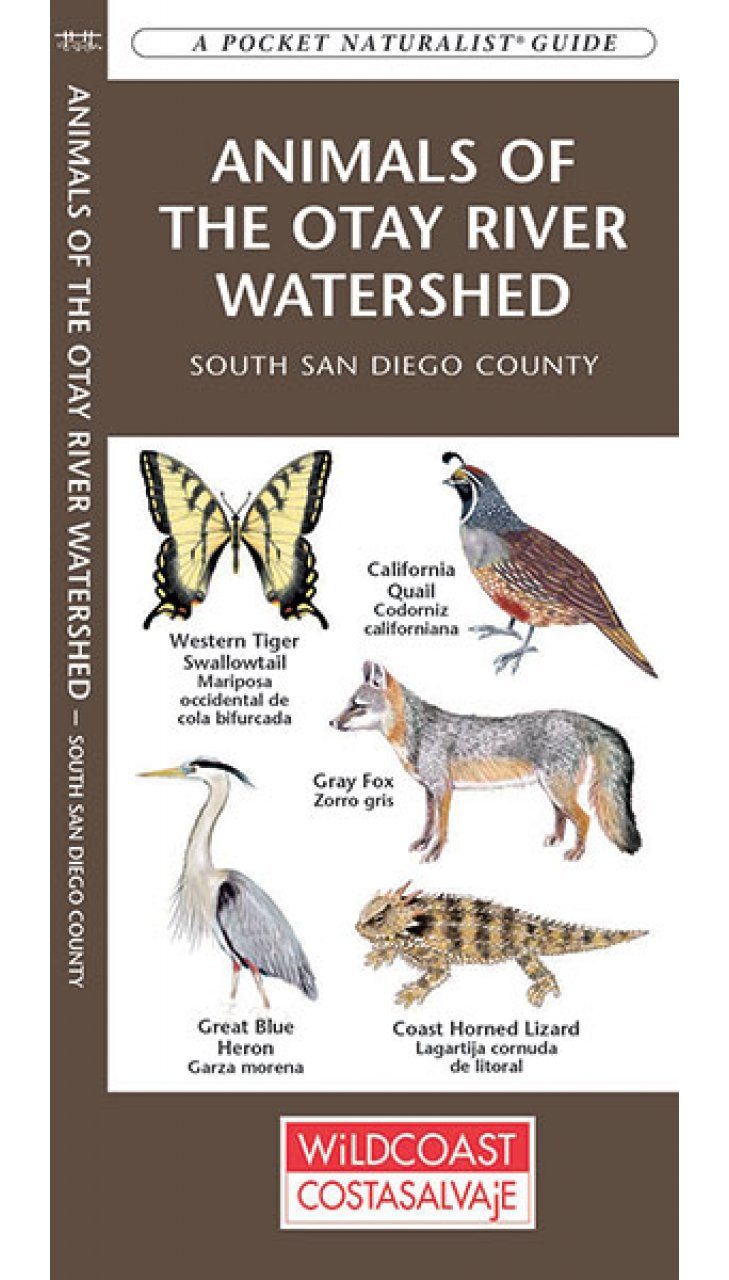 Animals of the Otay River Watershed: South San Diego County [English /  Spanish] | NHBS Field Guides & Natural History