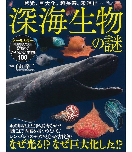 Shinkai Seibutsu no Nazo [The Mystery of Deep Sea Life]