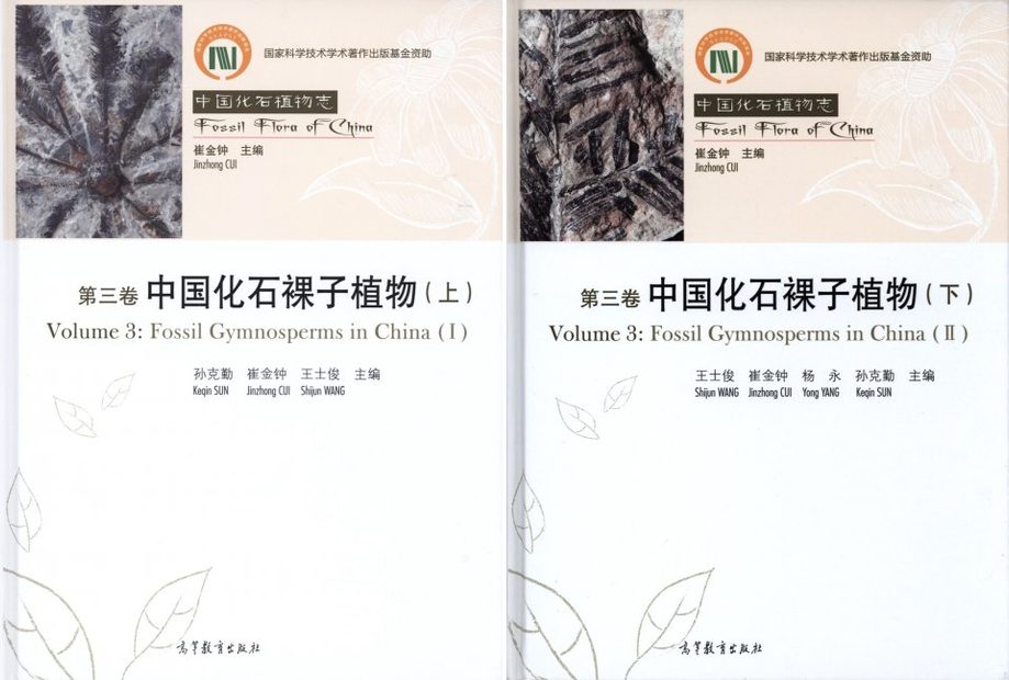 Fossil Flora of China, Volume 3: Fossil Gymnosperms in China (2-Volume Set) [Chinese]