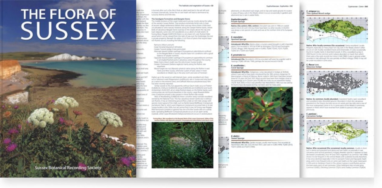 The Flora of Sussex