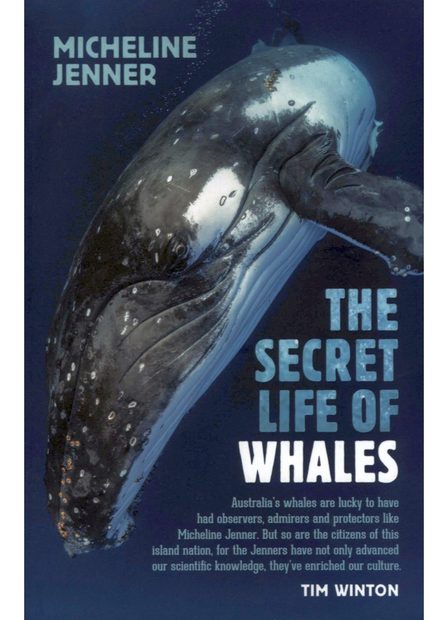 The Secret Life of Whales