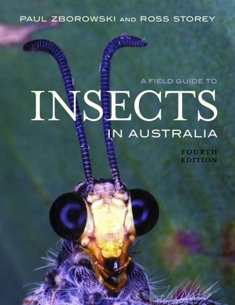A Field Guide to Insects in Australia