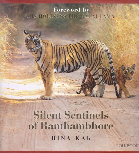 Silent Sentinels of Ranthambhore