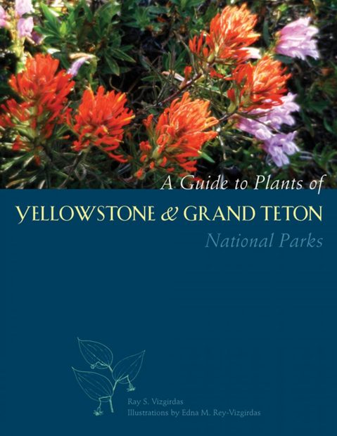 A Guide to Plants of Yellowstone & Grand Teton National Parks