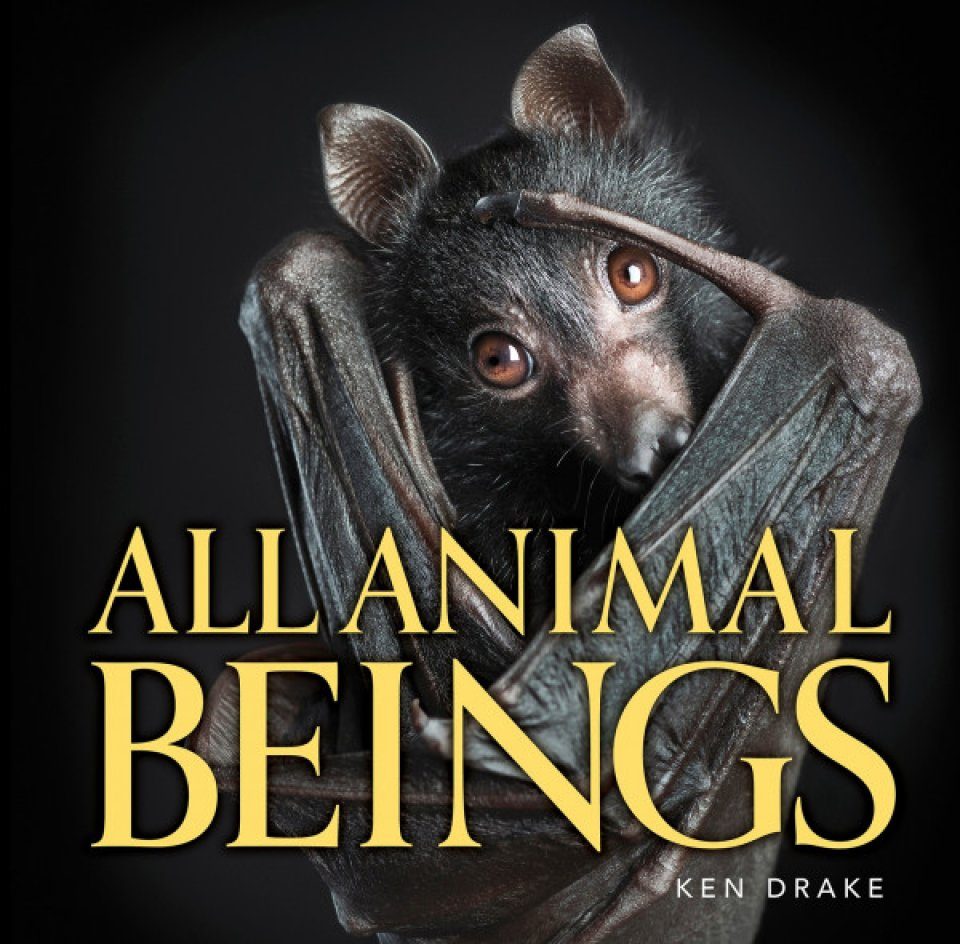 All Animal Beings | NHBS Academic & Professional Books