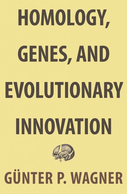 Homology, Genes, and Evolutionary Innovation 