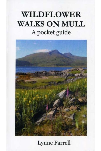Wildflower Walks on Mull