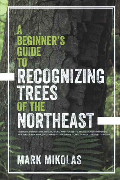 A Beginner's Guide to Recognizing Trees of the Northeast