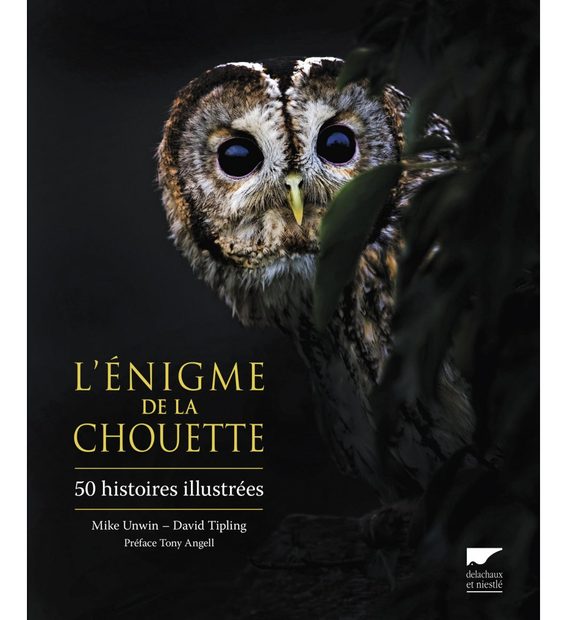 L'Énigme de la Chouette: 50 Histoires Illustrées [A Parliament of Owls]