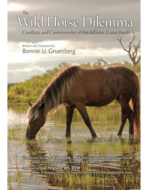 The Wild Horse Dilemma