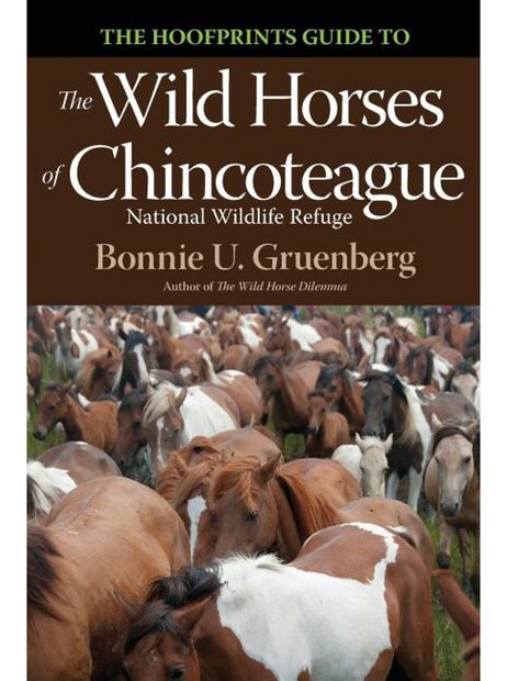 The Hoofprints Guide to the Wild Horses of Chincoteage National Wildlife Refuge