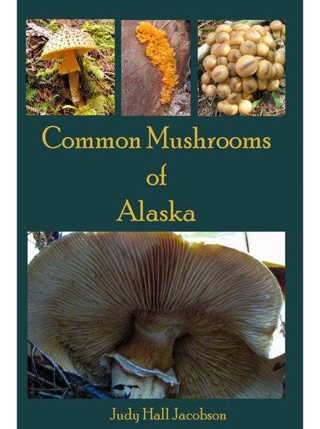 Common Mushrooms of Alaska