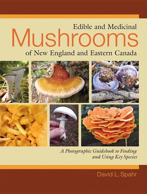 Edible And Medicinal Mushrooms of New England and Eastern Canada