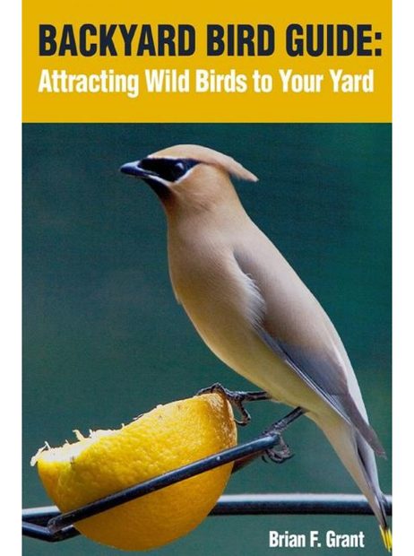 Backyard Bird Guide