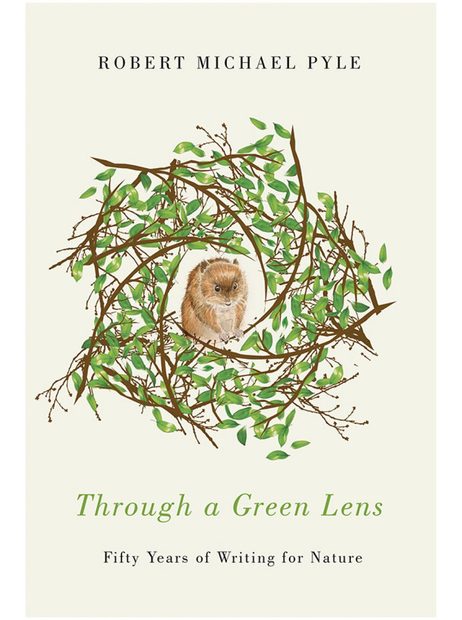 Through a Green Lens