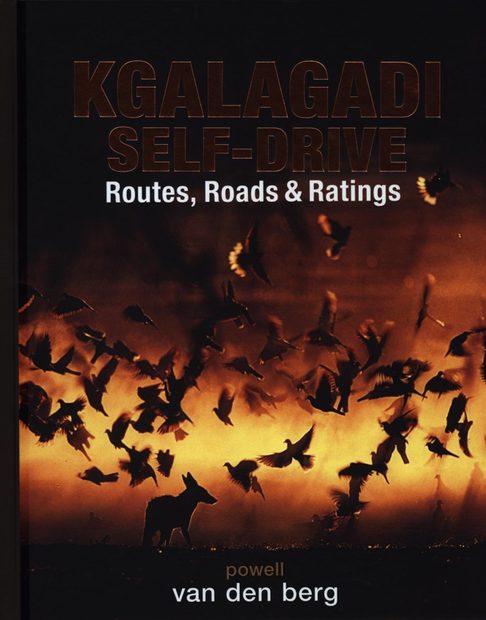 Kgalagadi Self-Drive