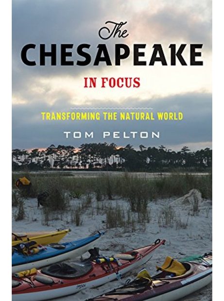 The Chesapeake in Focus