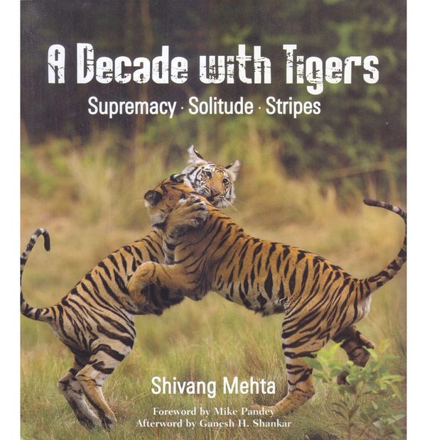 A Decade with Tigers