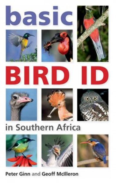 Basic Bird ID in Southern Africa