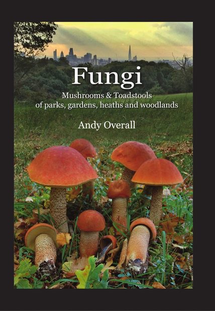 Fungi