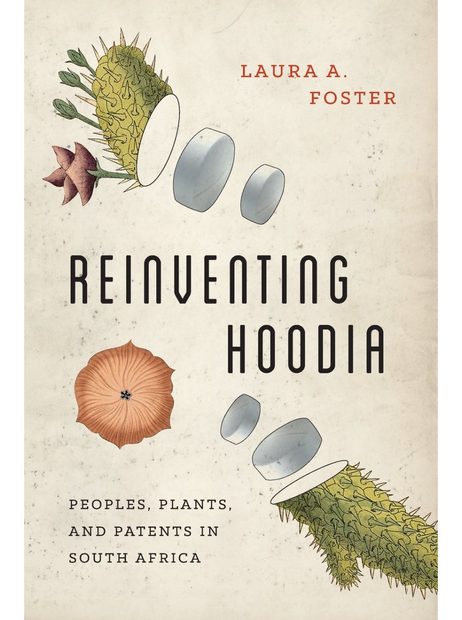 Reinventing Hoodia