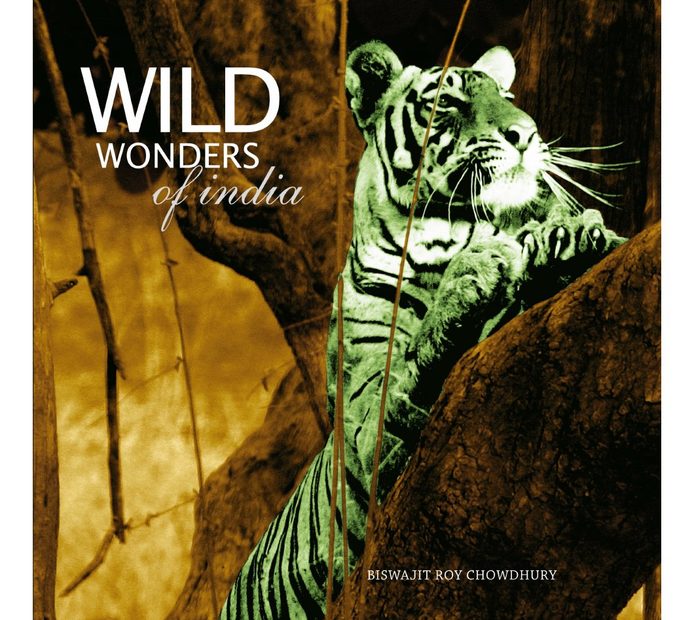 Wild Wonders Of India